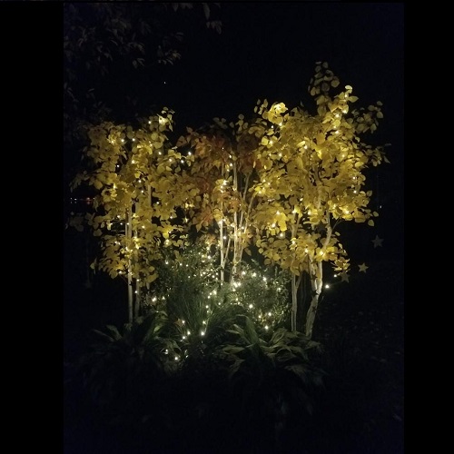 Night Life Fall Trees Rent-A-Woods - Rent-a-Woods - Artificial fall trees with lights for outdoor weddings